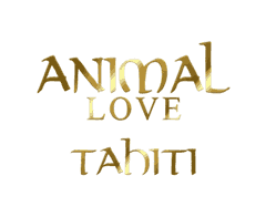 Animal Love