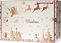 Gin Einsteiger Adventskalender mit 24 Sorten im Shop ka