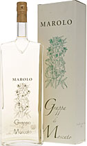 Marolo Grappa di Moscato Magnum g�nstig online kaufen