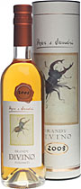 Pojer e Sandri Acquavite Divino 2008 im Shop kaufen