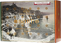 Whisky Irland Adventskalender mit 24 Sorten Whisky 